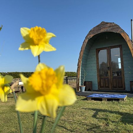 Skipbridge Farm Glamping York Zewnętrze zdjęcie
