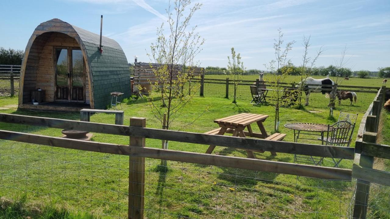 Skipbridge Farm Glamping York Zewnętrze zdjęcie