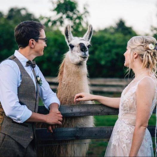Skipbridge Farm Glamping York Zewnętrze zdjęcie