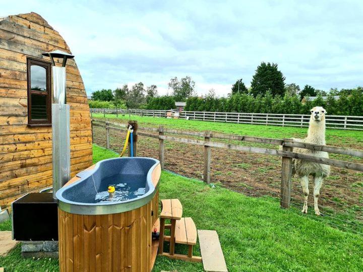 Skipbridge Farm Glamping York Zewnętrze zdjęcie