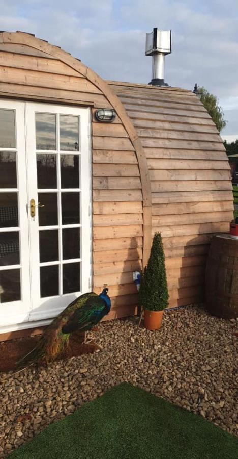 Skipbridge Farm Glamping York Zewnętrze zdjęcie