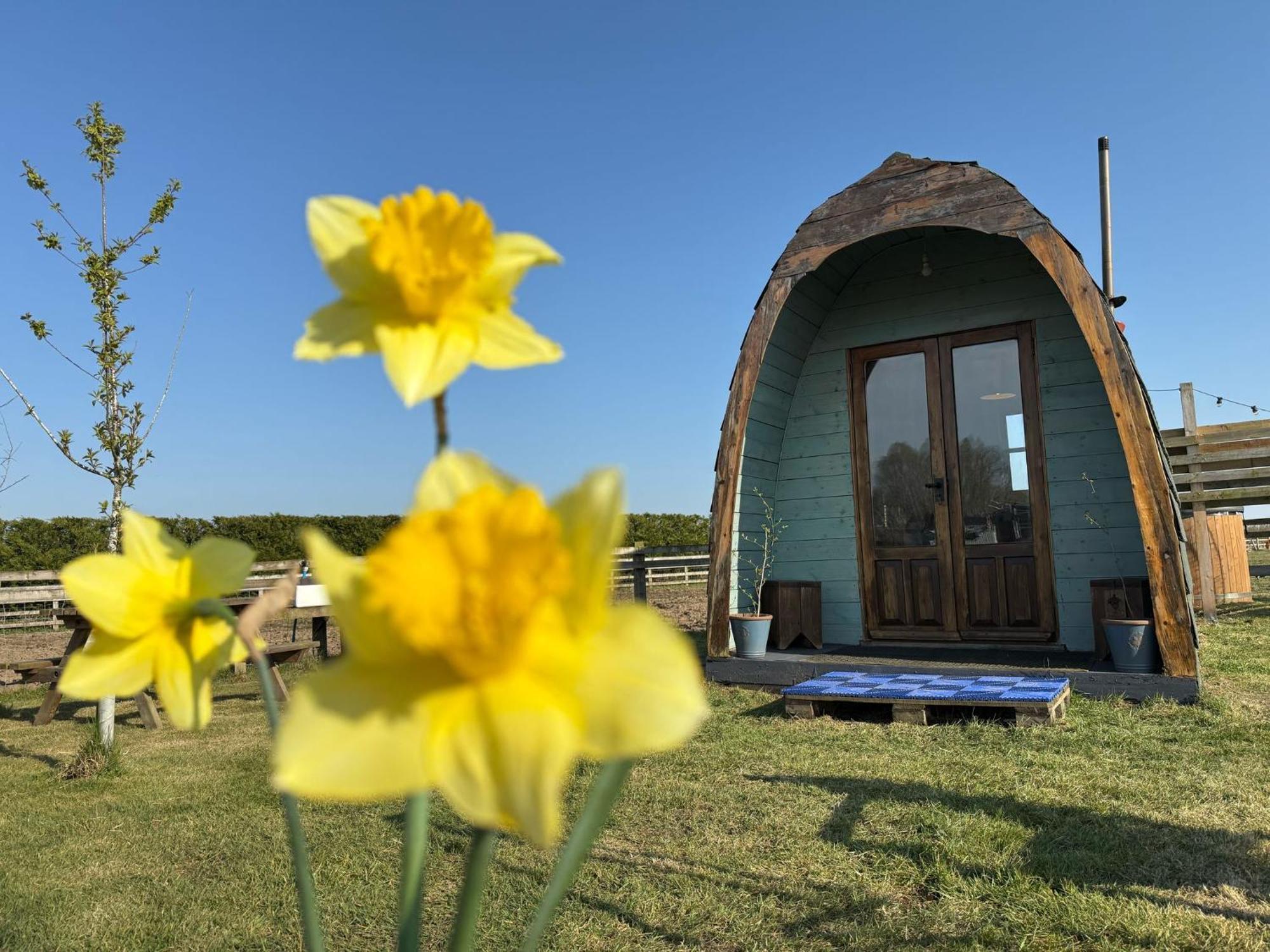 Skipbridge Farm Glamping York Zewnętrze zdjęcie